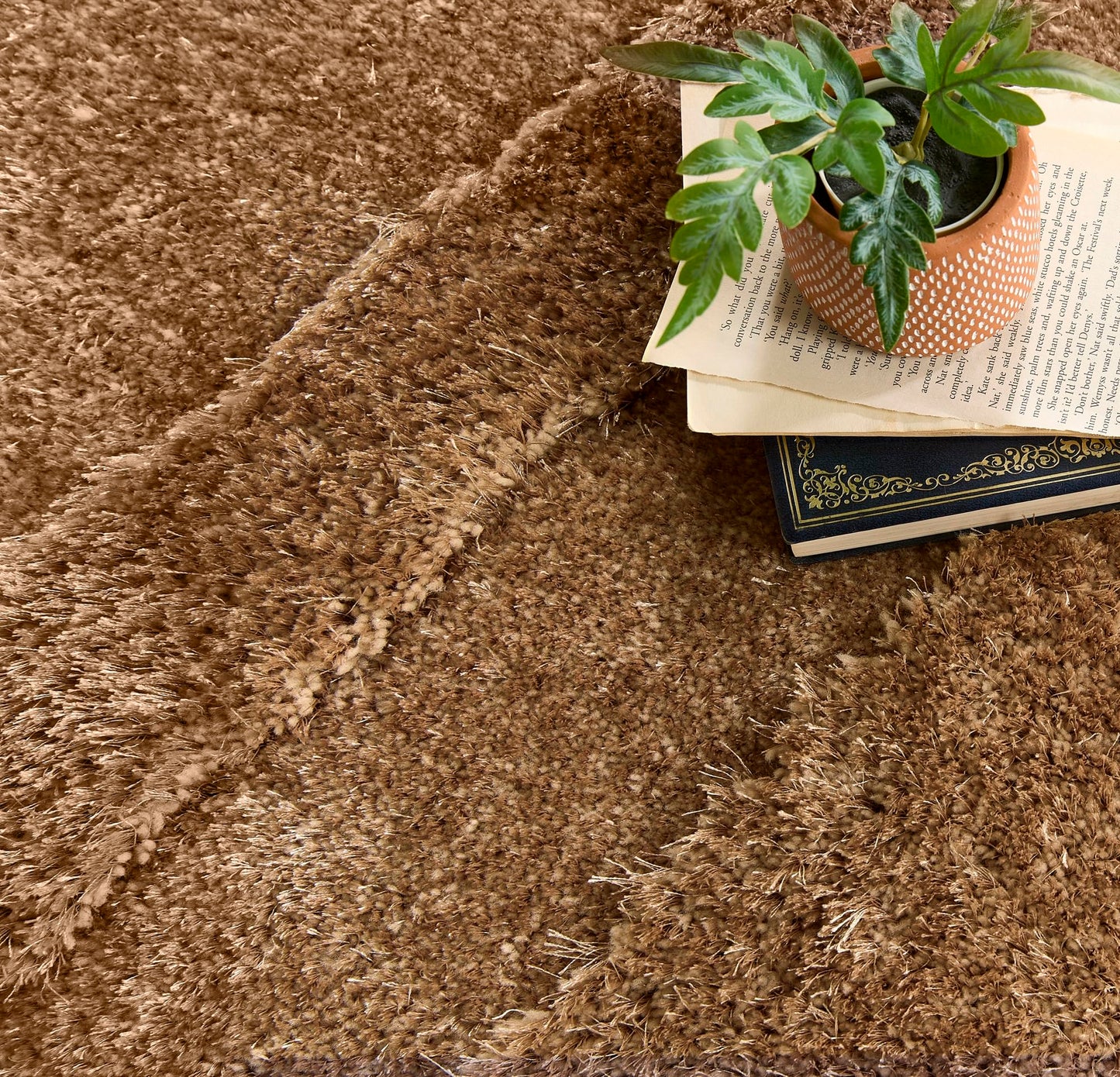 Frame Carved Border Shaggy Rug - Fluffy High-Pile Soft Carpet for Living Room & Bedroom