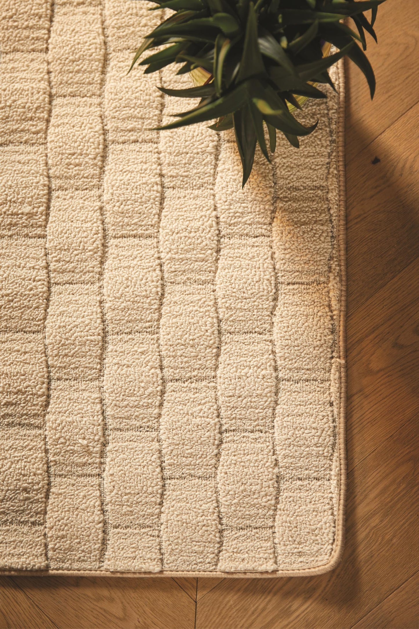 Machine Washable Rug for Kitchen Hallway Living Room Garden Home Entry Easy to Clean Dust Stain Resistant Door Entrance Soft Non-Slip Rug